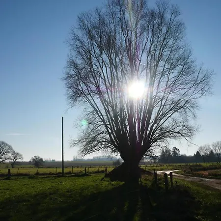 Avec Climatisation, Parking Et Terrasse Privee Pres De Saint-amand-les-eaux - Fr-1-510-147 Appartement