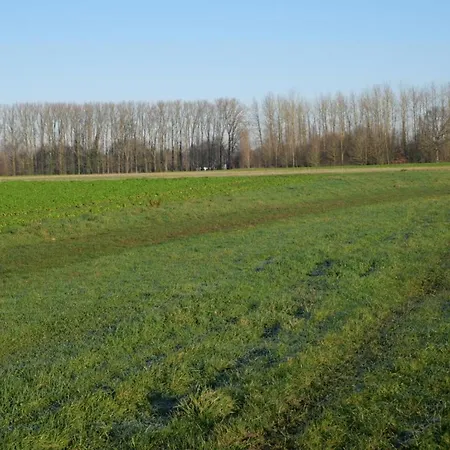 Appartement Avec Climatisation, Parking Et Terrasse Privee Pres De Saint-amand-les-eaux - Fr-1-510-147 *