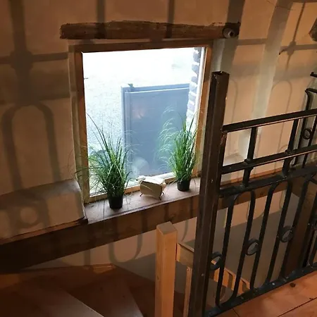 Avec Climatisation, Parking Et Terrasse Privee Pres De Saint-amand-les-eaux - Fr-1-510-147 Appartement