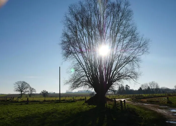 Avec Climatisation, Parking Et Terrasse Privee Pres De Saint-amand-les-eaux - Fr-1-510-147 Apartment