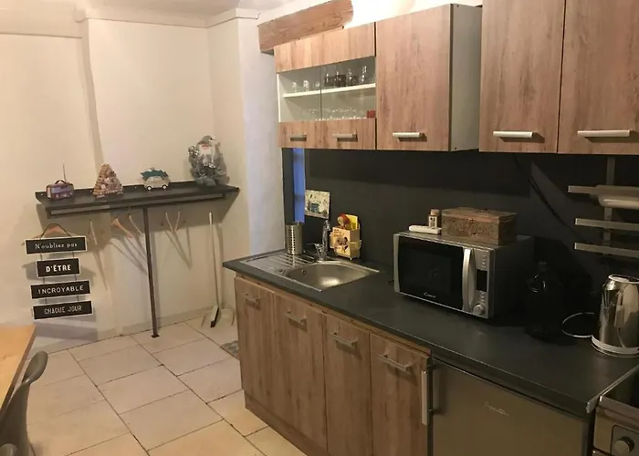 Apartment Avec Climatisation, Parking Et Terrasse Privee Pres De Saint-amand-les-eaux - Fr-1-510-147 Flines-Les-Mortagne