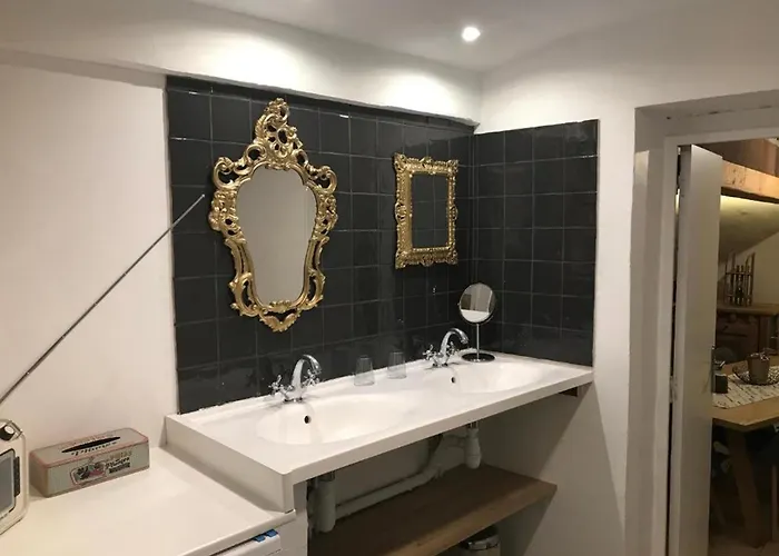 Avec Climatisation, Parking Et Terrasse Privee Pres De Saint-amand-les-eaux - Fr-1-510-147 *