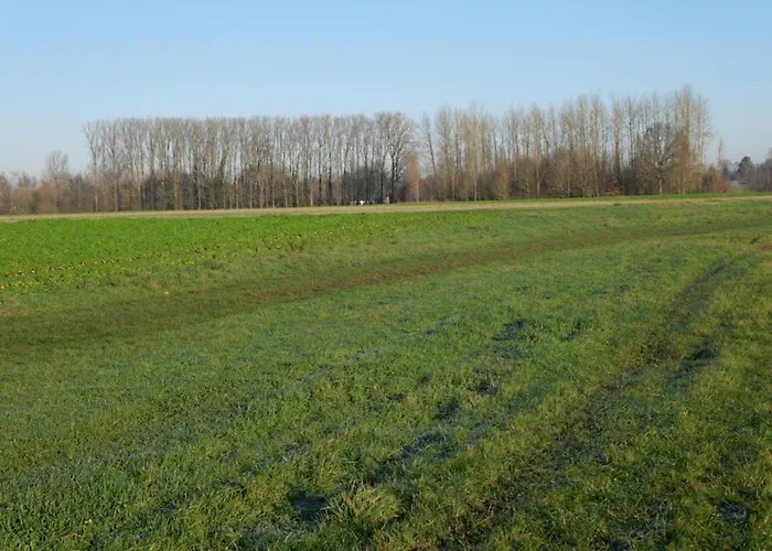 Apartment Avec Climatisation, Parking Et Terrasse Privee Pres De Saint-amand-les-eaux - Fr-1-510-147 *