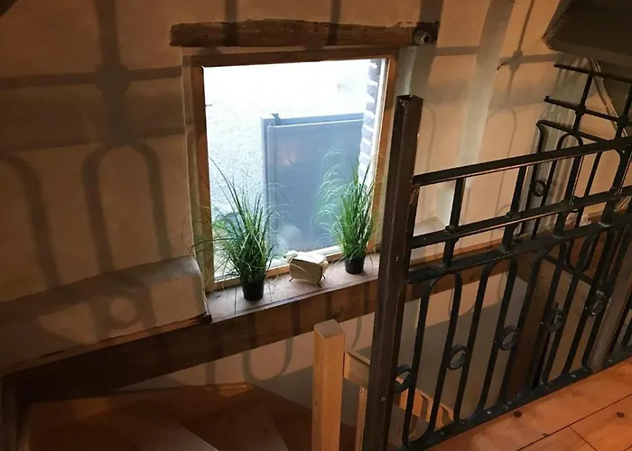 Avec Climatisation, Parking Et Terrasse Privee Pres De Saint-amand-les-eaux - Fr-1-510-147 Apartment